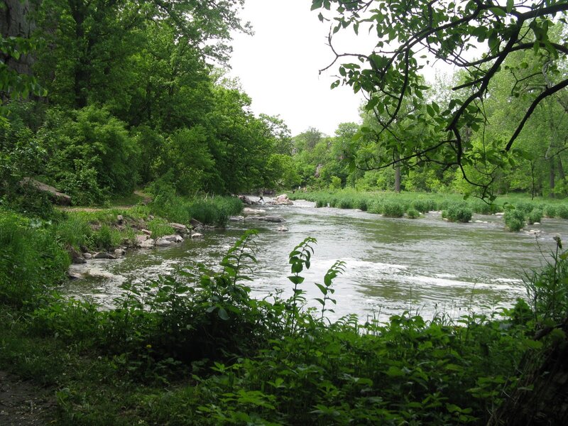 River Flowing Through Forest — Green, Serene, Summer, Photograph, Trees