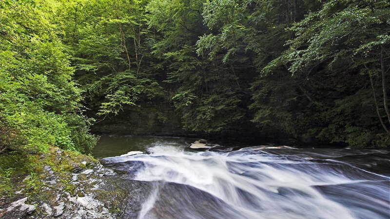 River Flowing Through Forest — Green, Serene, Summer