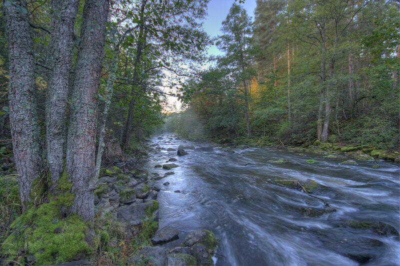 River Flowing Through Forest — Green, Serene, Sunset, Photograph