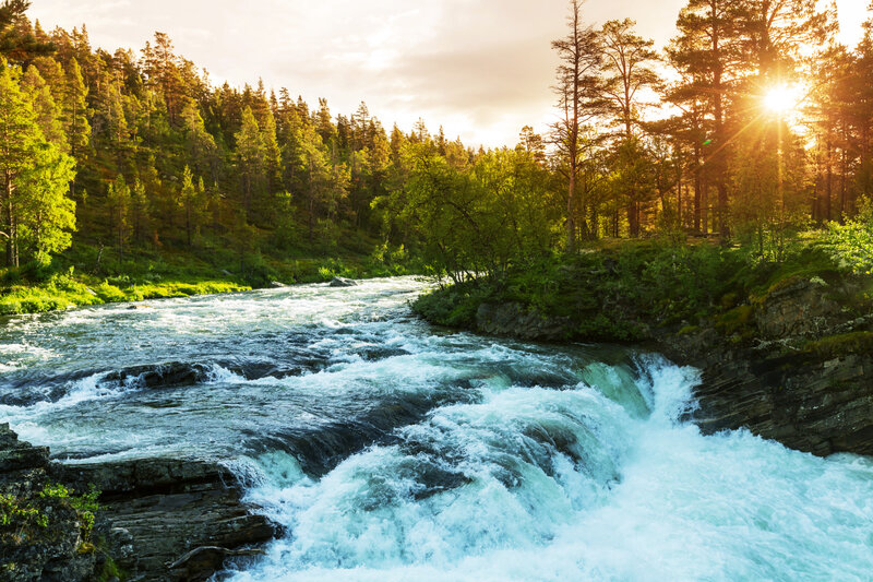 River Flowing Through Forest — Green, Serene, Sunset, Photograph, Trees, Sunlight