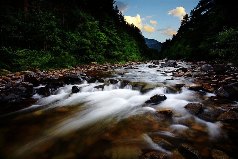 River Flowing Through Forest — Green, Serene, Sunset