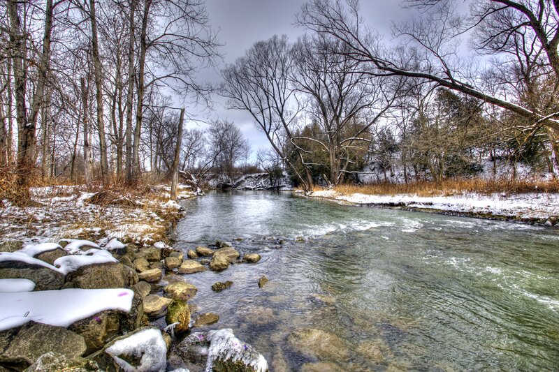 River Flowing Through Forest — Green, Serene, Winter