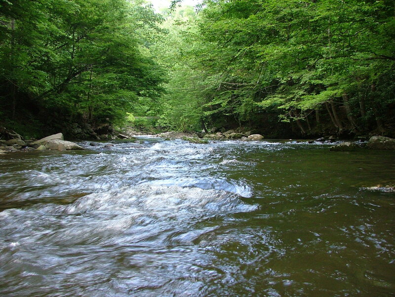 River Flowing Through Forest — Green, Water