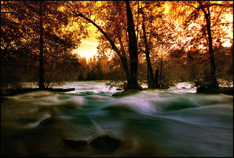 River Flowing Through Forest — Orange, Dramatic, Sunset, Photograph