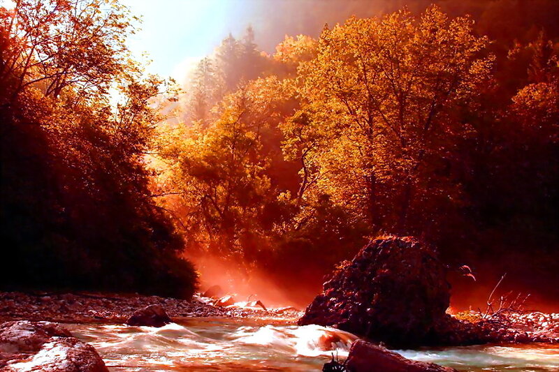 River Flowing Through Forest — Orange, Dramatic