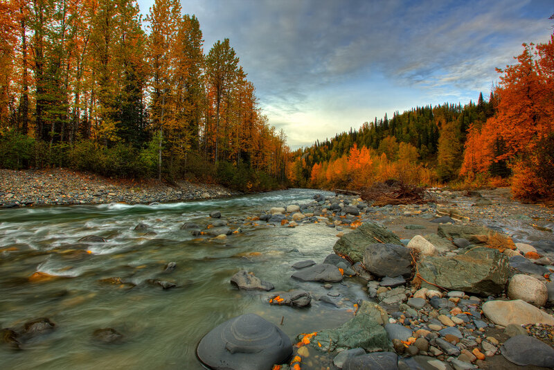 River Flowing Through Forest — Orange, Serene, Autumn, Photograph, Trees, Rocks