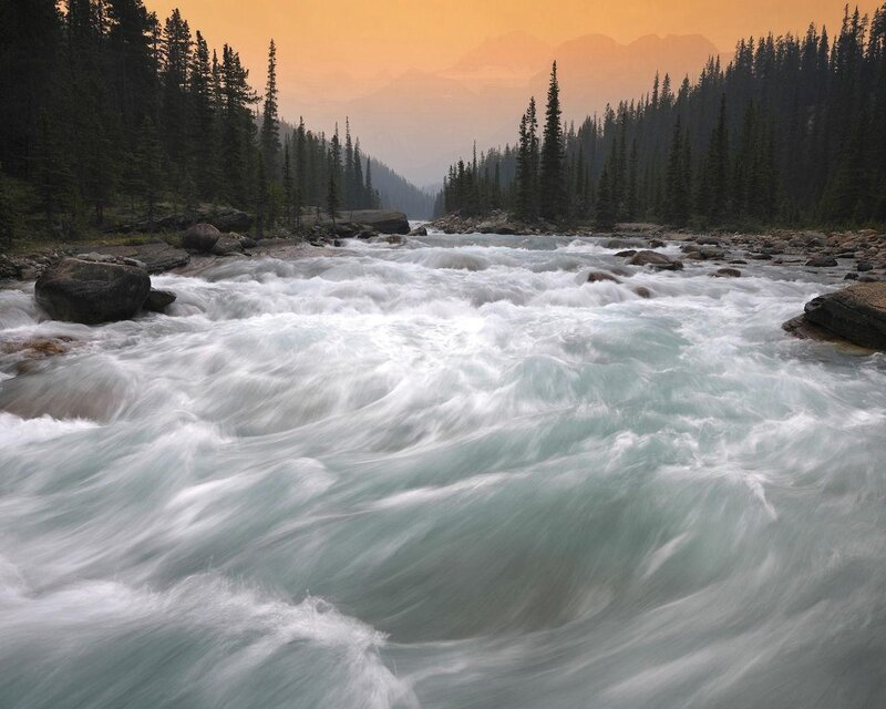 River Flowing Through Forest — Orange, Serene