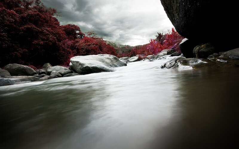 River Flowing Through Forest — Red, Dramatic, Photograph