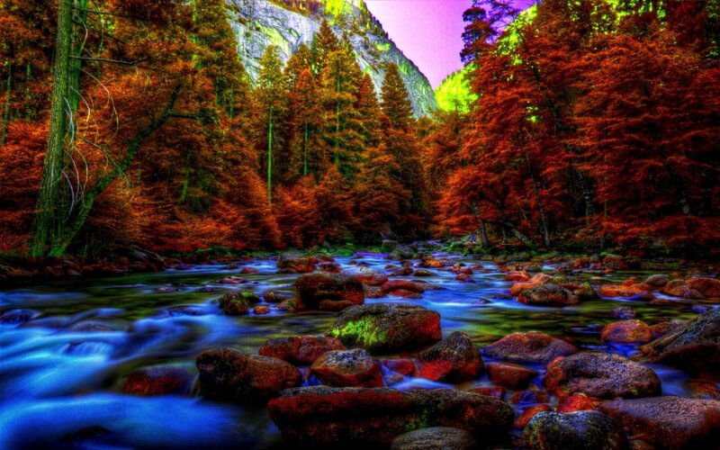 River Flowing Through Forest — Red, Dramatic