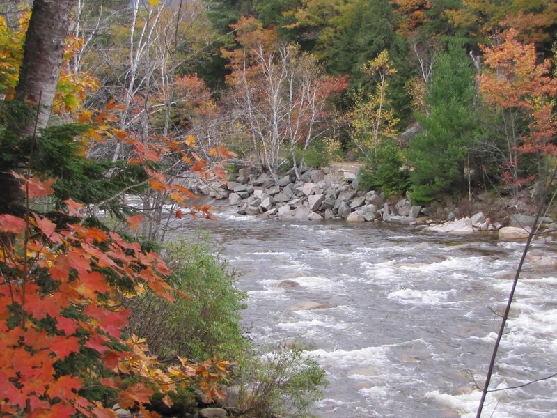 River Flowing Through Forest — Red, Serene, Autumn, Photograph