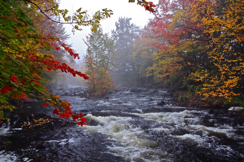 River Flowing Through Forest — Red, Serene, Autumn, Photograph, Trees, Rocks, Mist