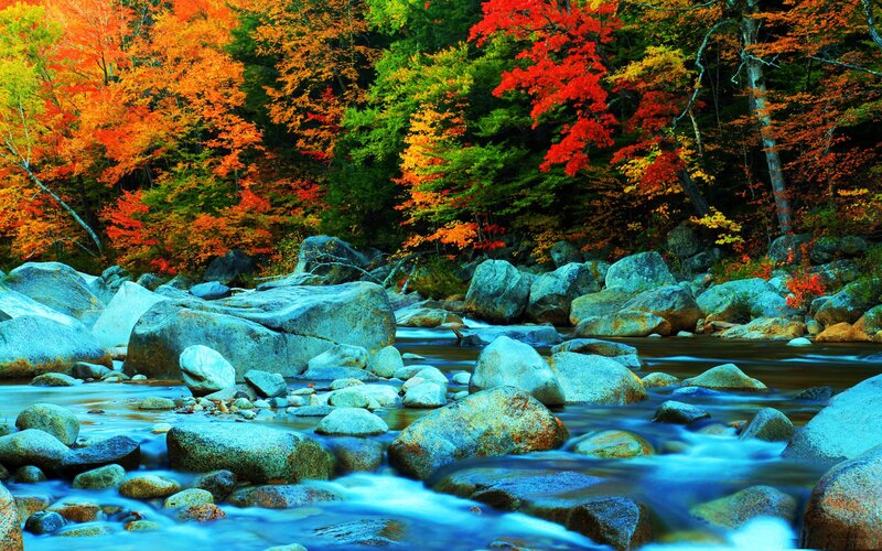 River Flowing Through Forest — Red, Serene, Autumn, Photograph, Trees, Rocks