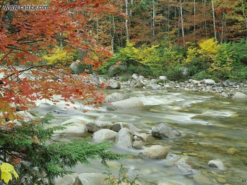 River Flowing Through Forest — Red, Serene, Autumn, Photograph, Trees