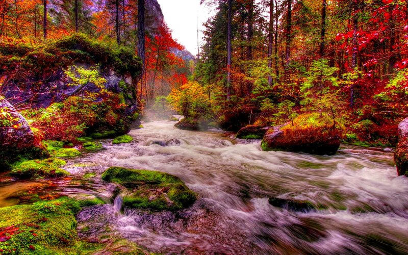 River Flowing Through Forest — Red, Serene, Autumn