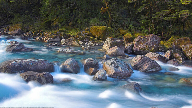 River flowing through forest rocks