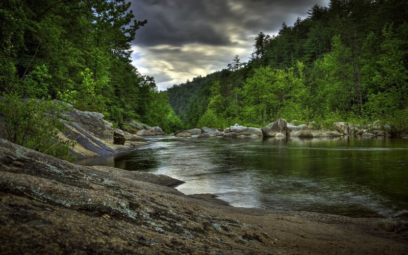 River Flowing Through Forest — Sky
