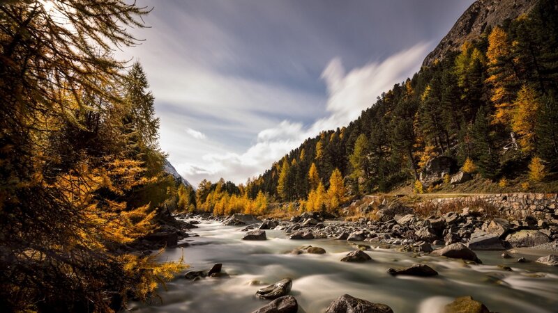 River Flowing Through Forest — Yellow, Serene, Autumn