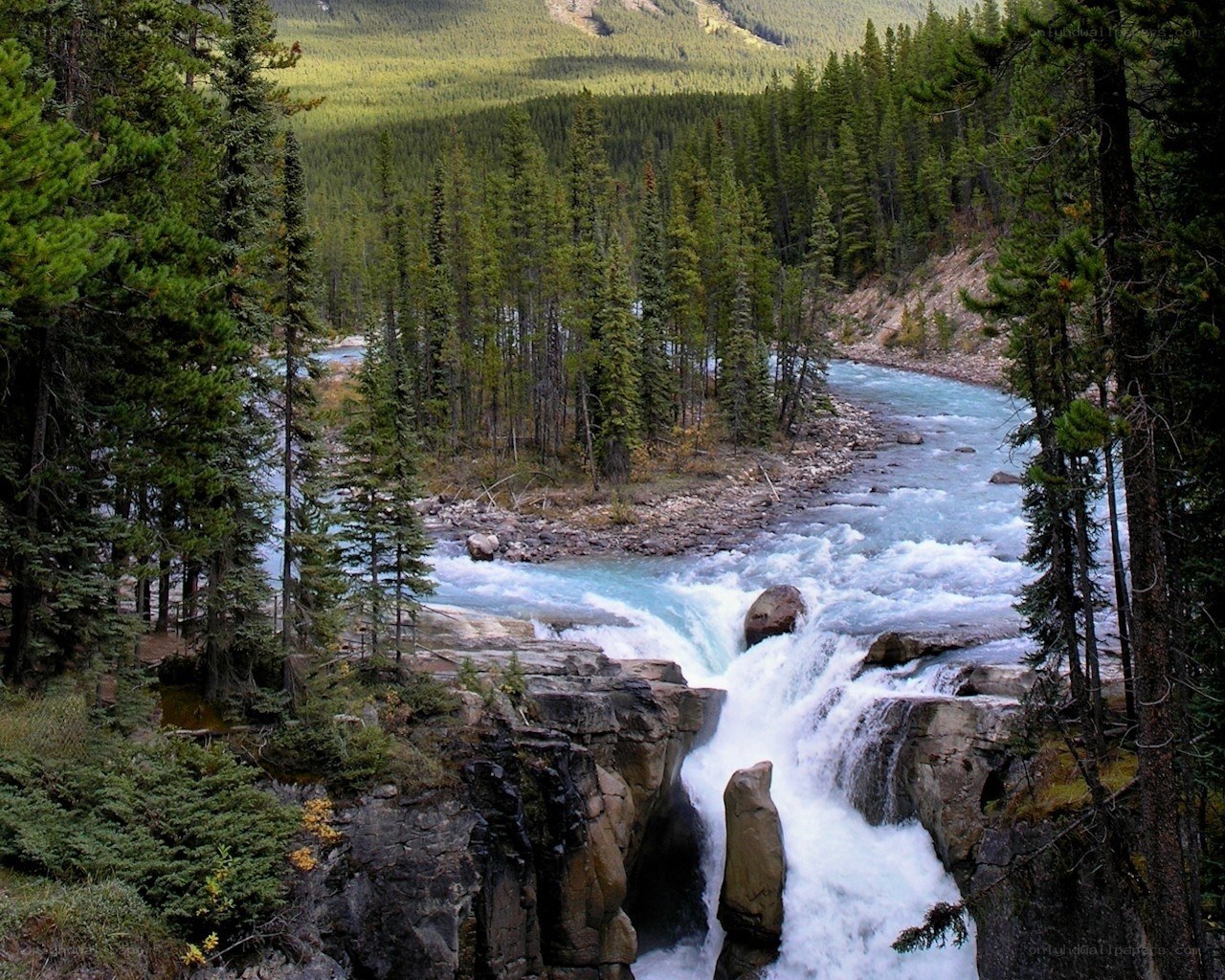 river flowing through forested canyon