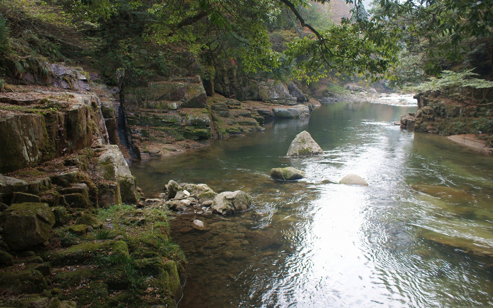 river flowing through forested canyon