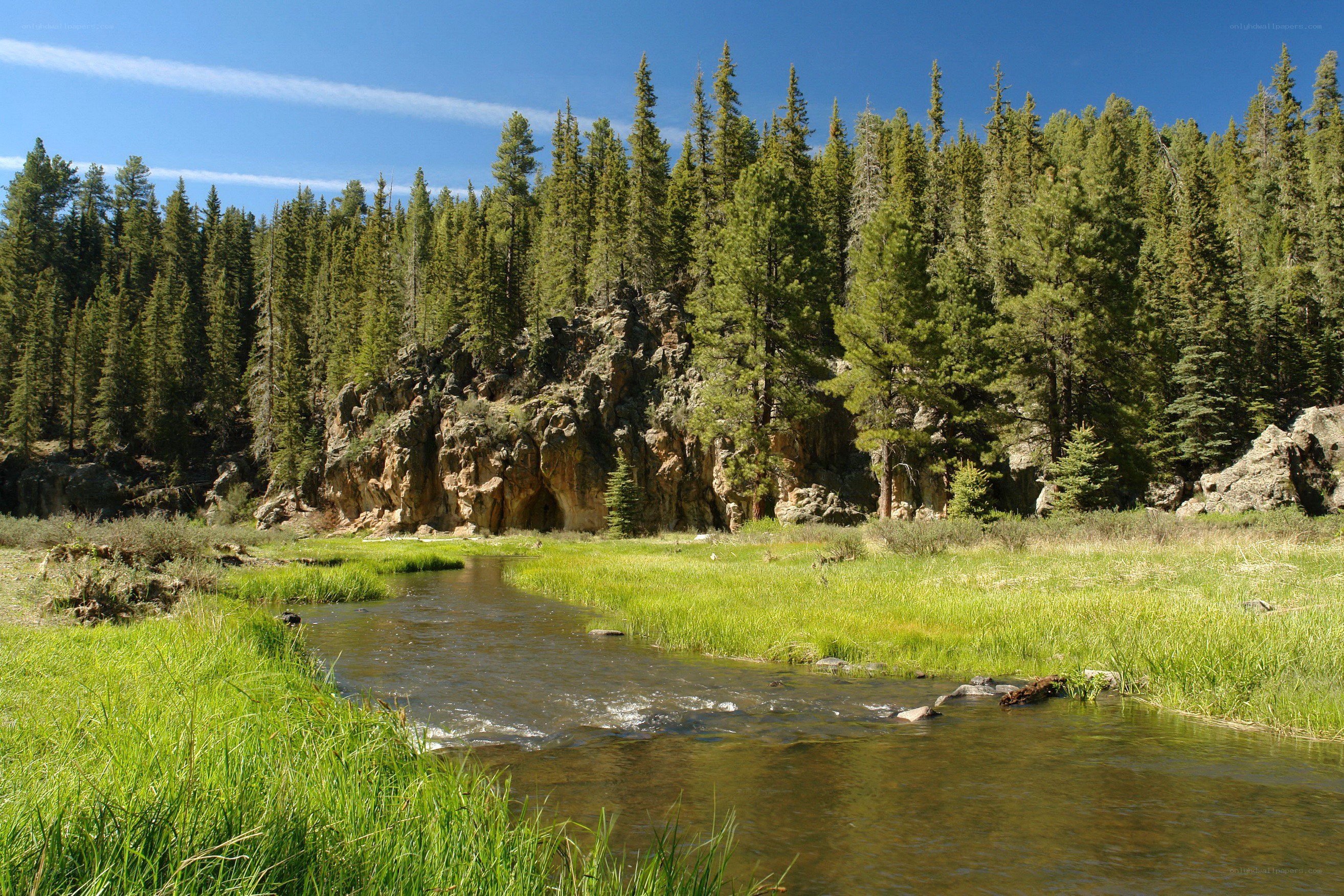 River flowing through forested canyon