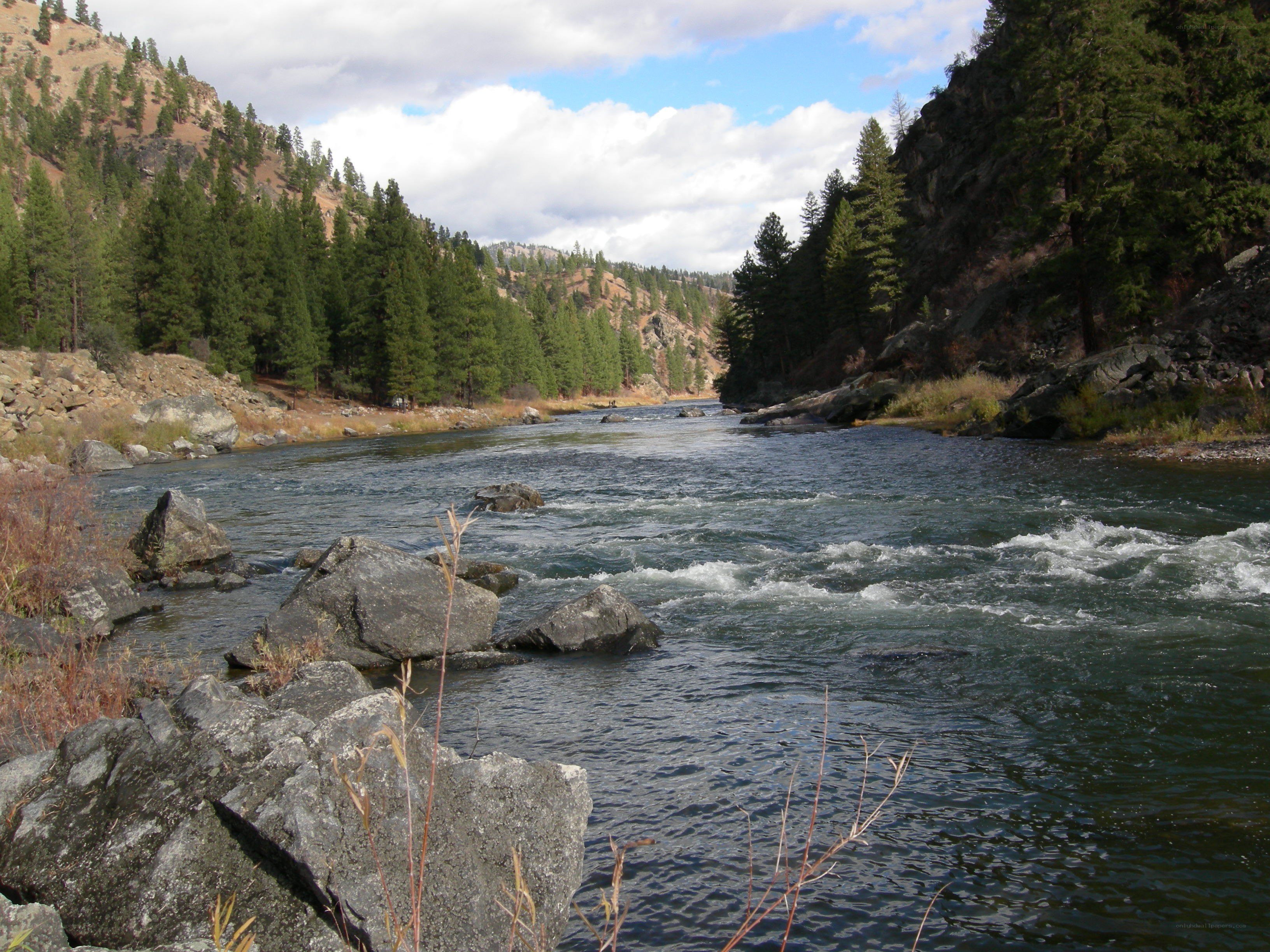 river flowing through forested canyon