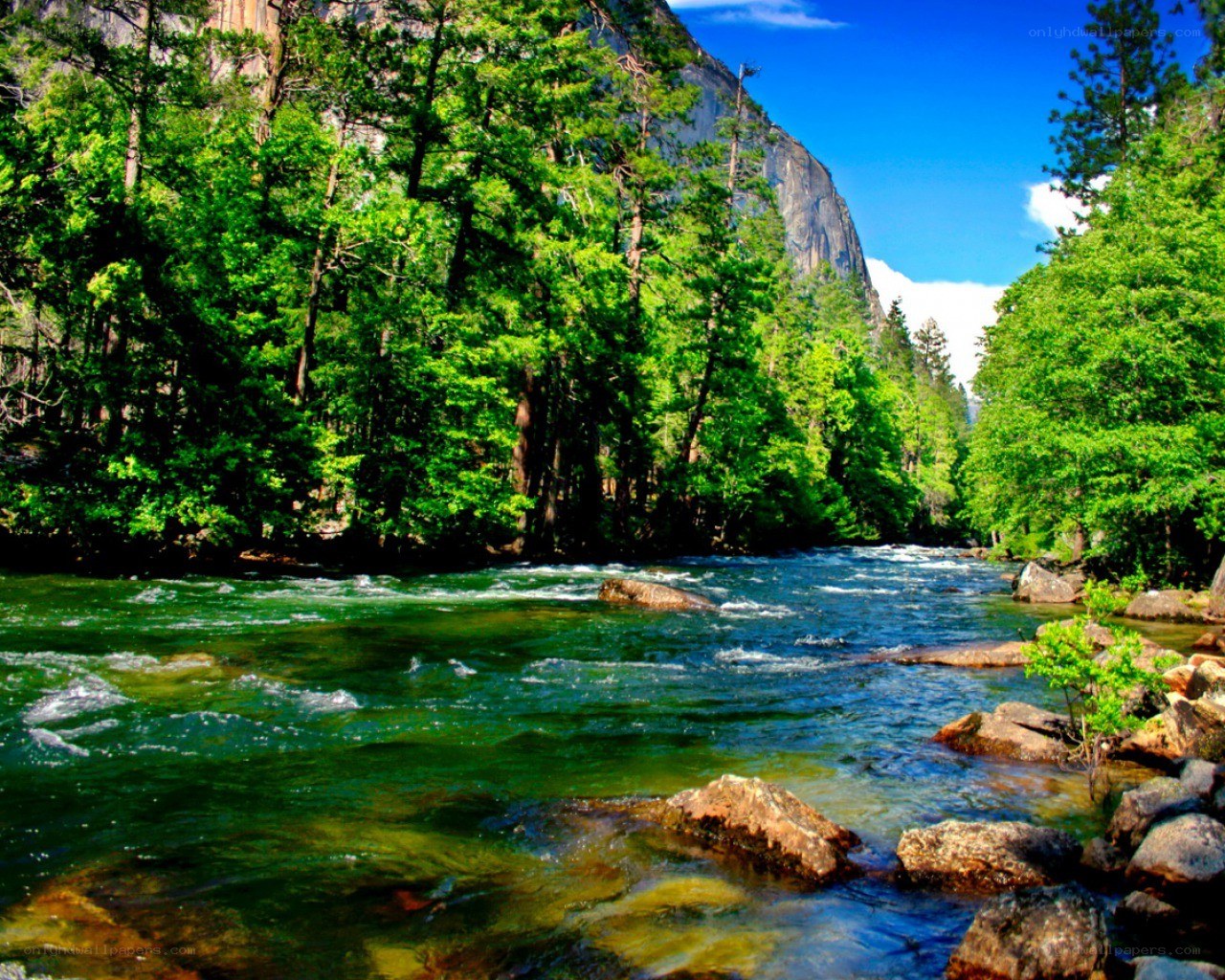 river flowing through forested canyon
