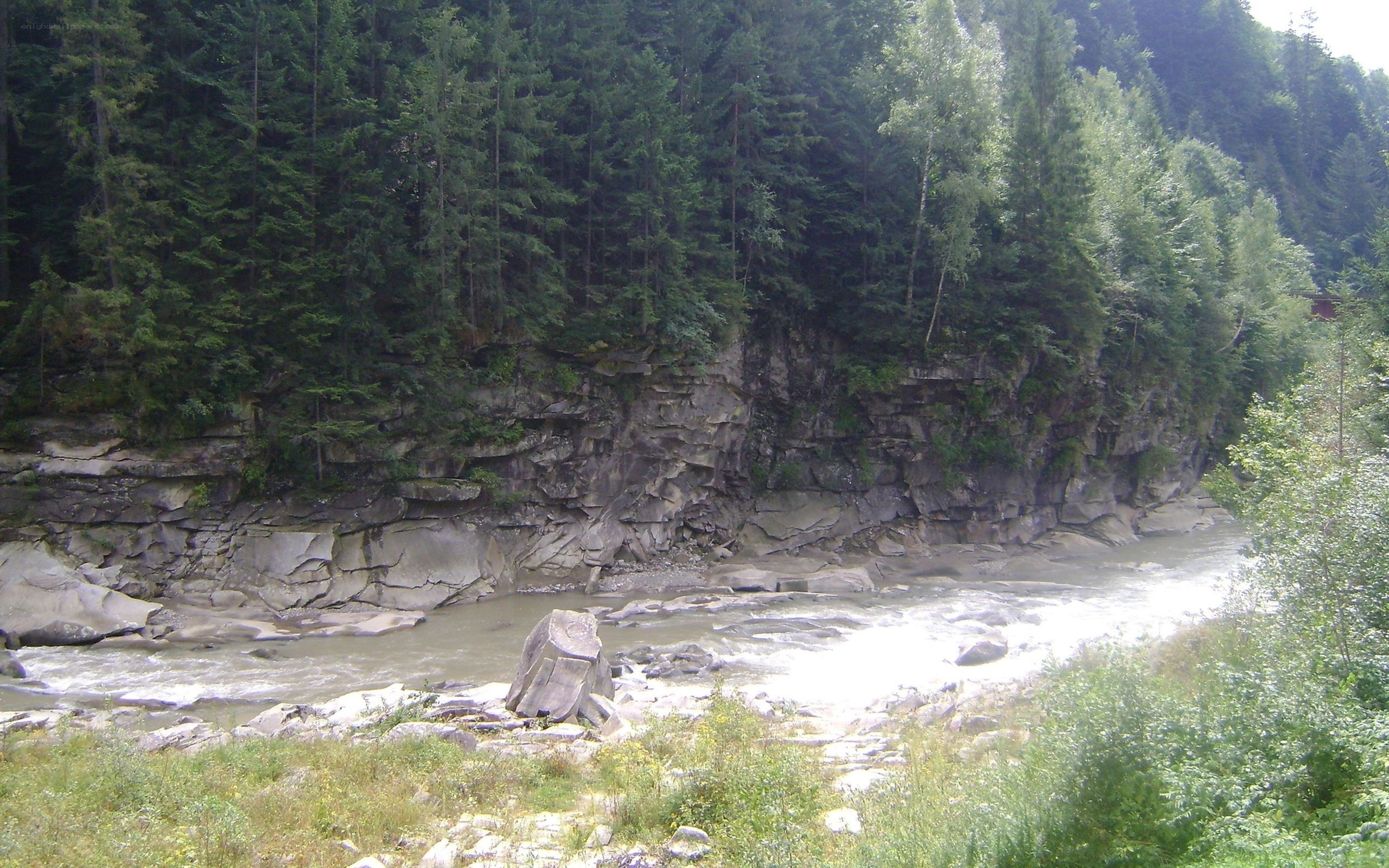 river flowing through forested canyon