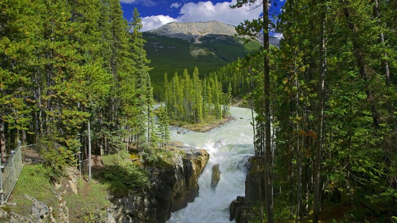 river flowing through forested canyon