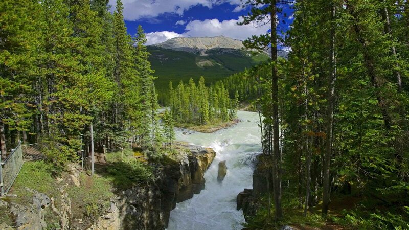 river flowing through forested canyon