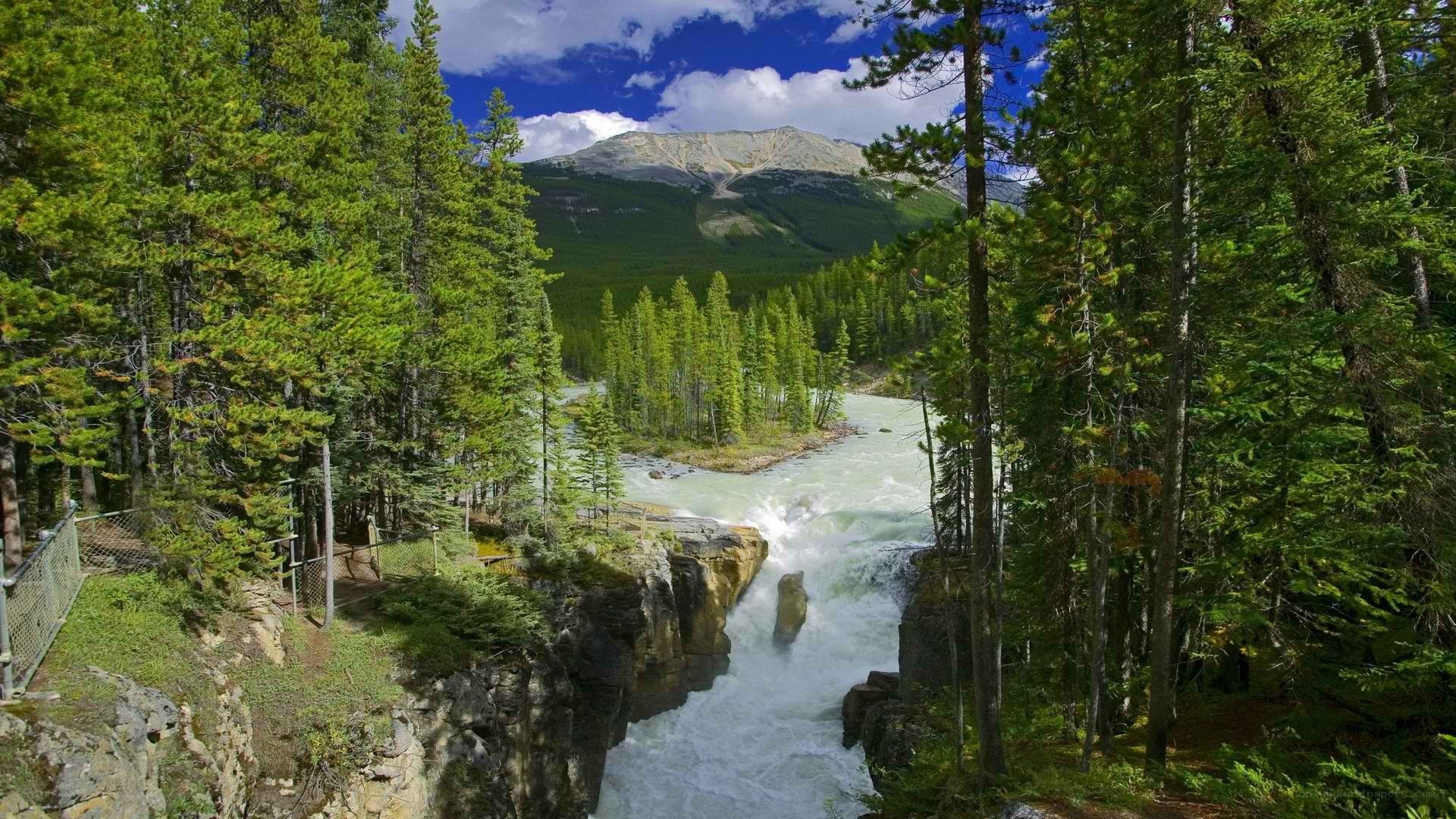 river flowing through forested canyon