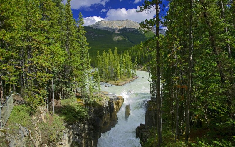 river flowing through forested canyon