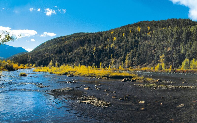 River flowing through forested hills