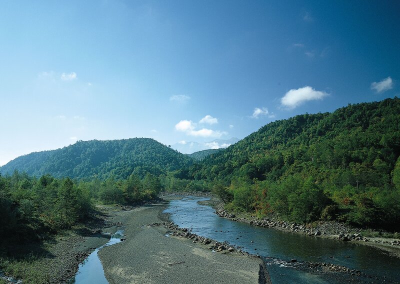 River flowing through forested hills