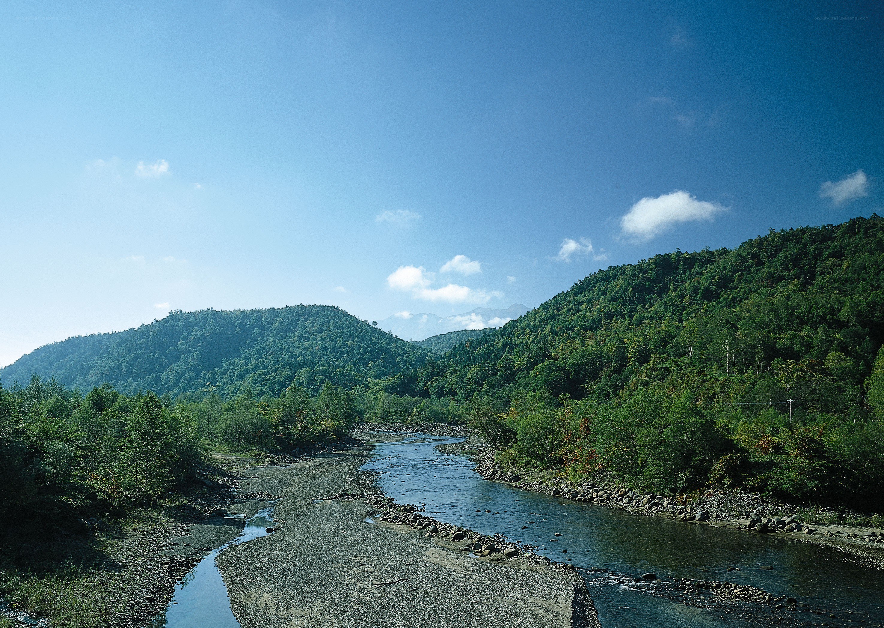 River flowing through forested hills