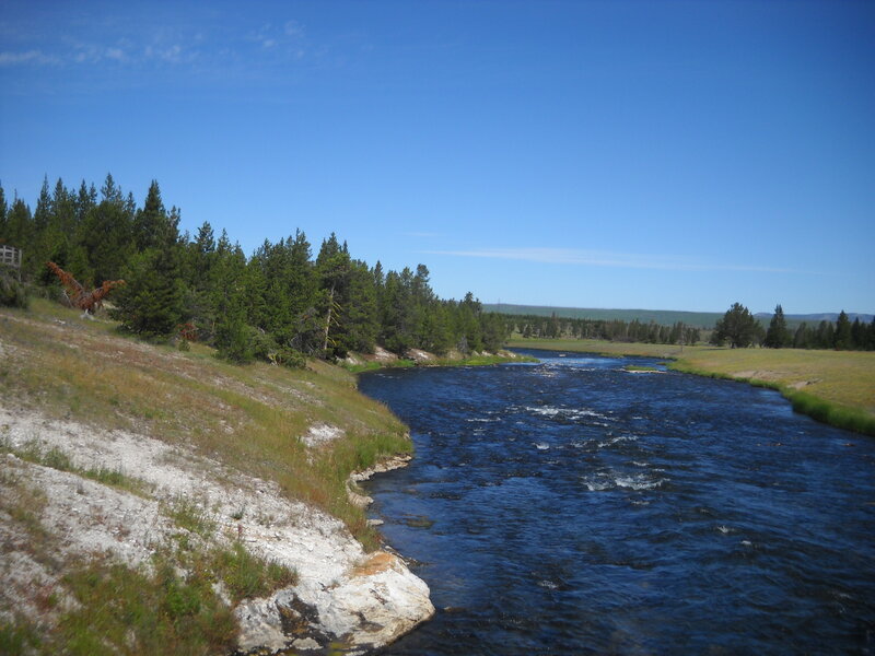 river flowing through forested landscape