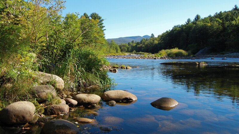River flowing through forested landscape