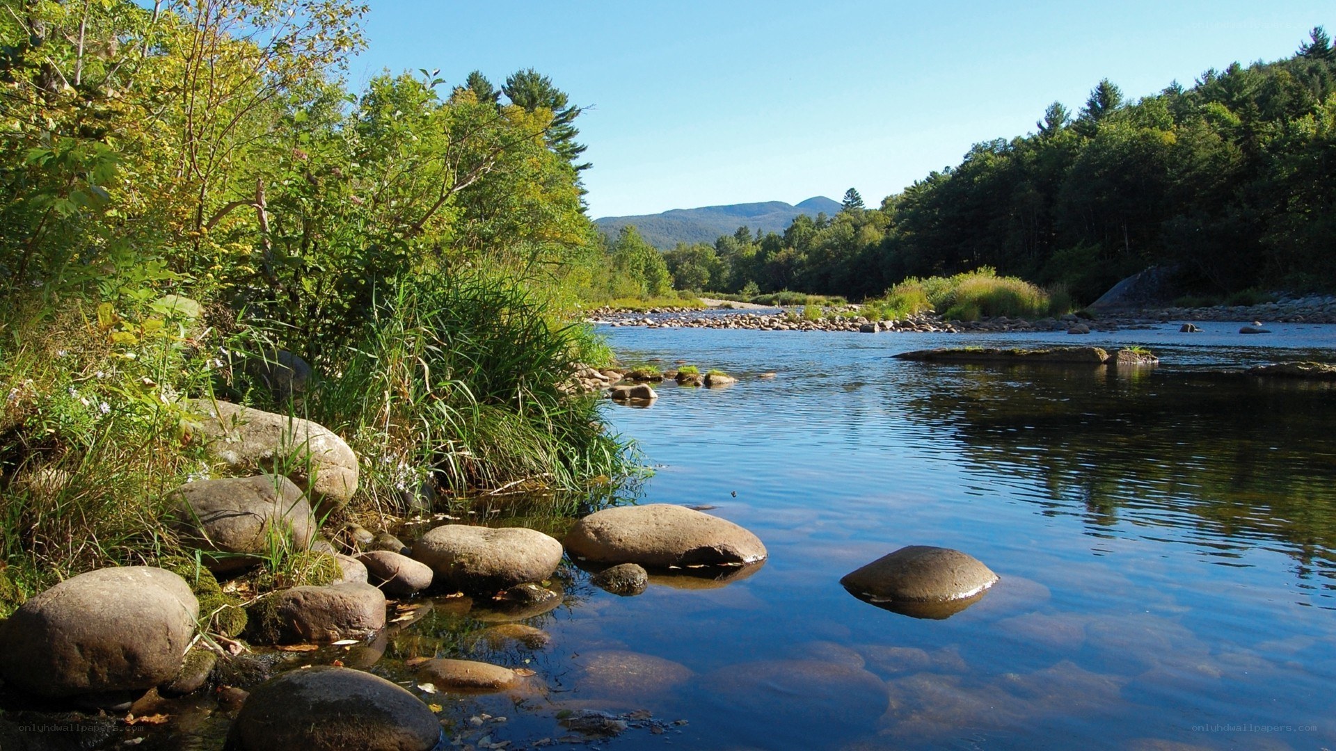 River flowing through forested landscape