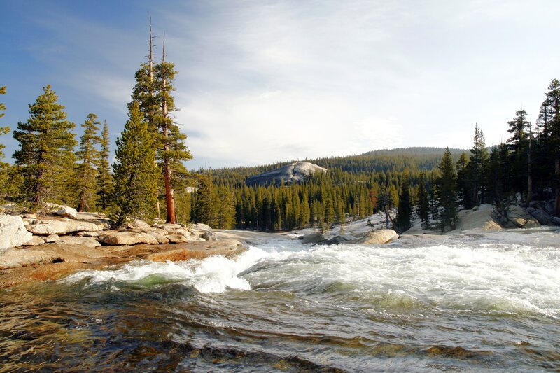 river flowing through forested landscape