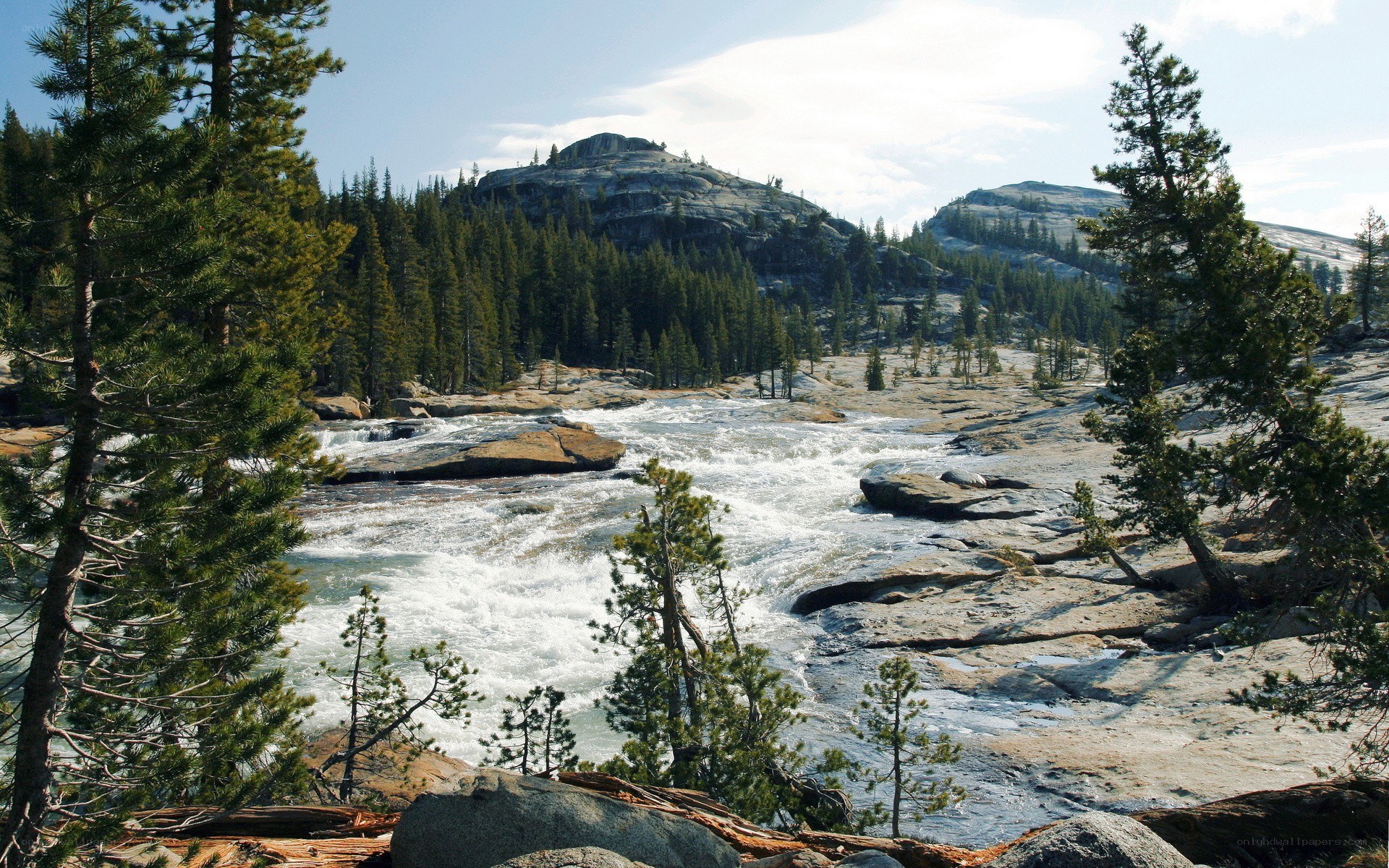 river flowing through forested mountains