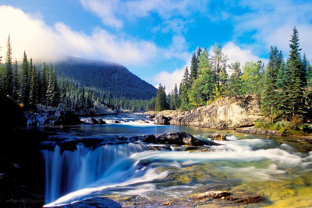 river flowing through forested mountains