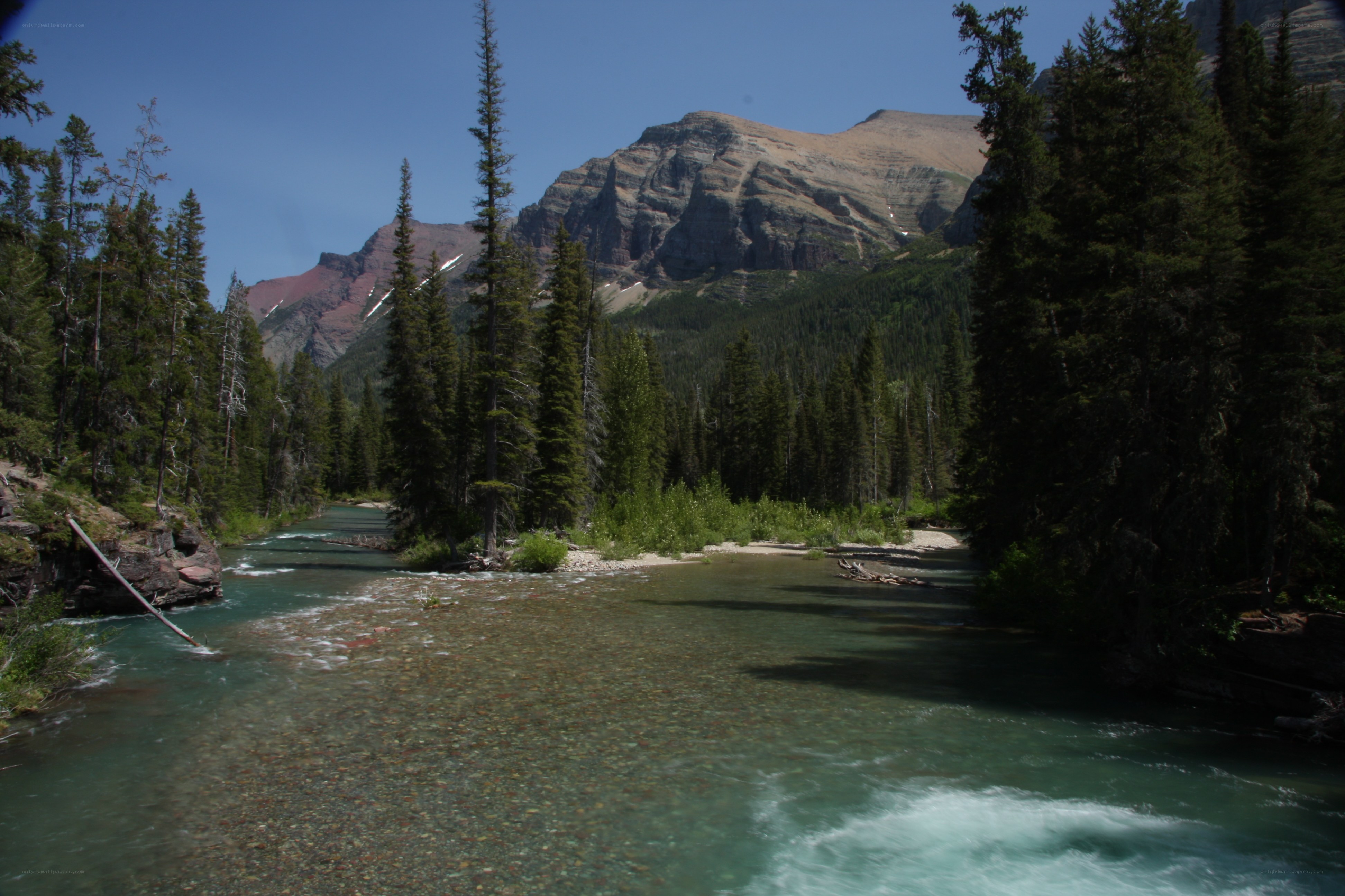 river flowing through forested mountains