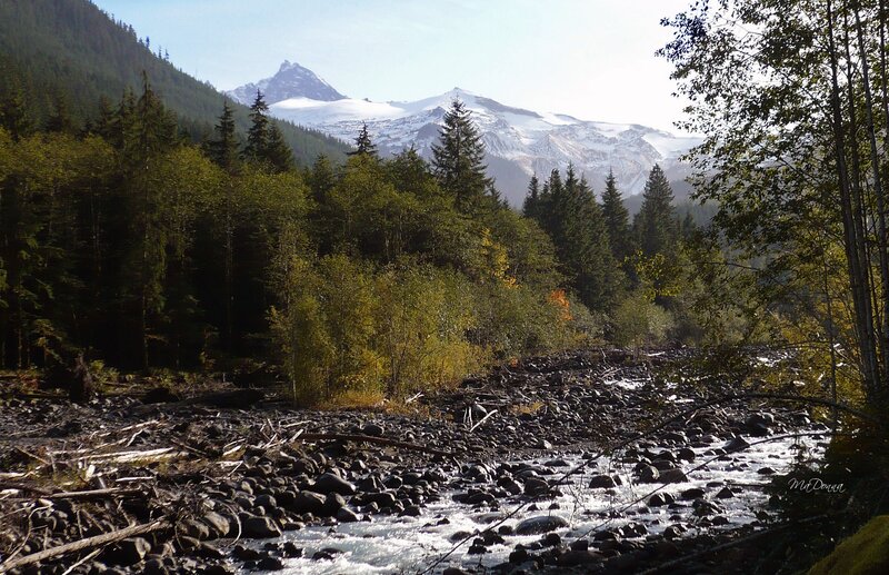 River flowing through forested mountains