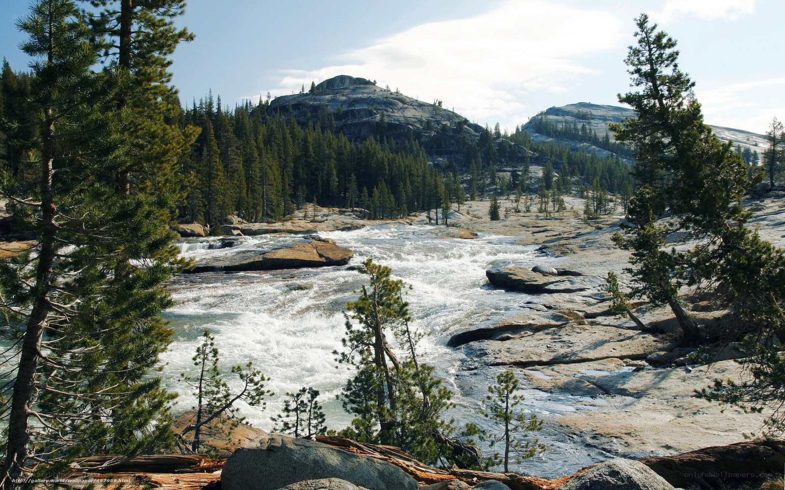 River flowing through forested mountains