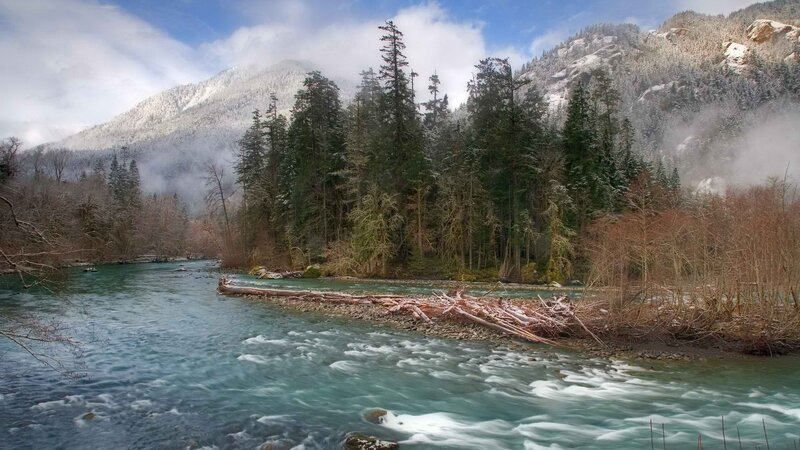 river flowing through forested mountains