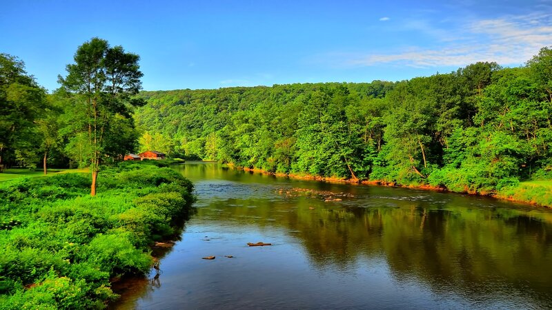 River flowing through forested valley