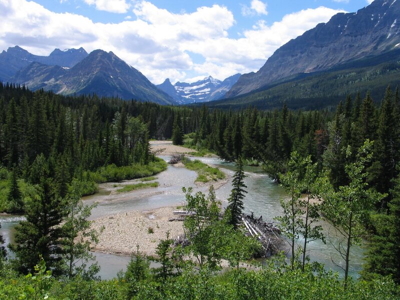river flowing through forested valley