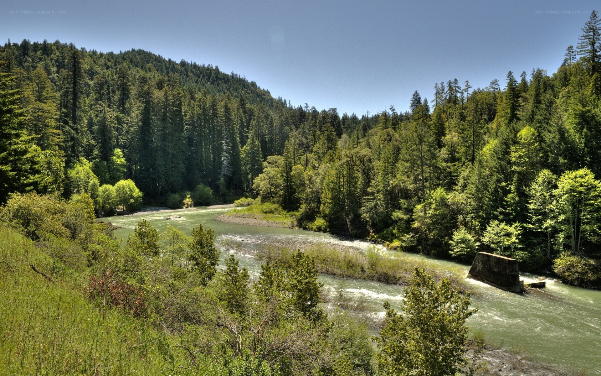 river flowing through forested valley