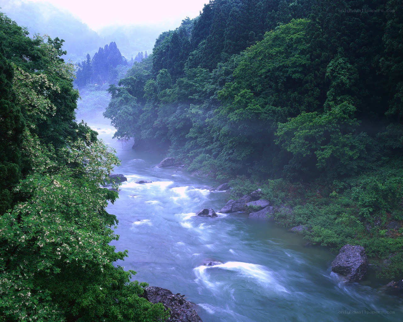 river flowing through forested valley