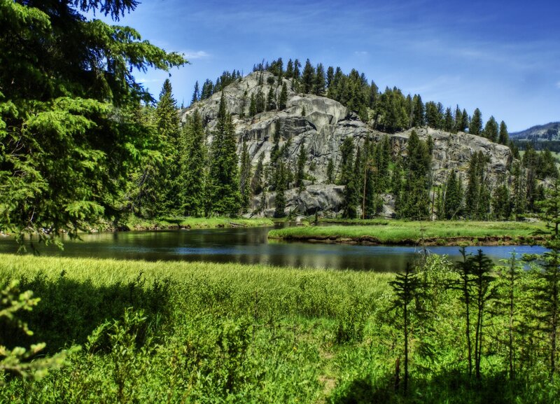 River flowing through forested valley