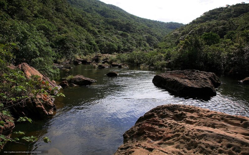 river flowing through forested valley